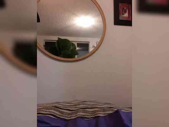 Fruttituttis webcam