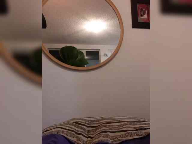 Fruttituttis webcam