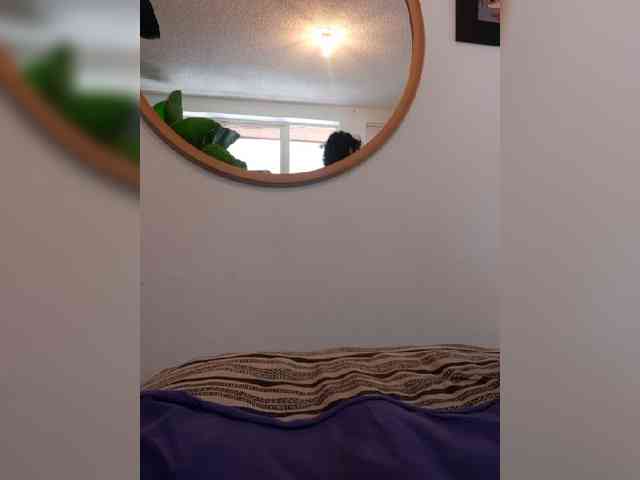 Fruttituttis webcam