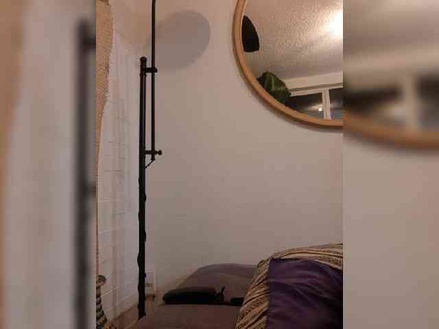 Fruttituttis webcam
