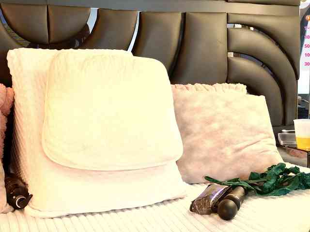 IrisRoss webcam