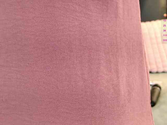 IrisRoss webcam