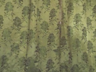 Image capture of missjen