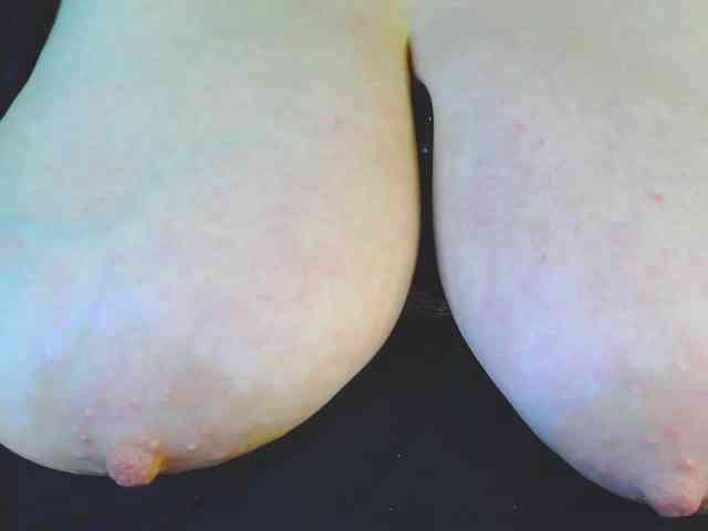Model: Stasja1_1