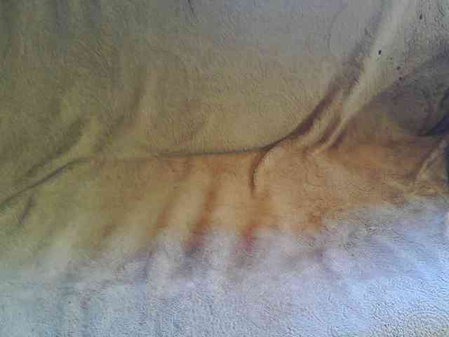 Stasja1_1 webcam