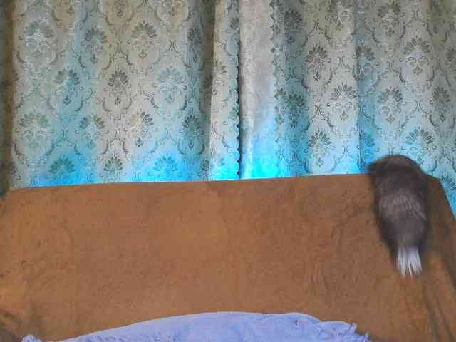Stasja1_1 webcam