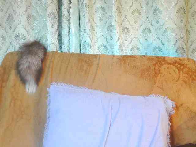 stasja1_1's live room
