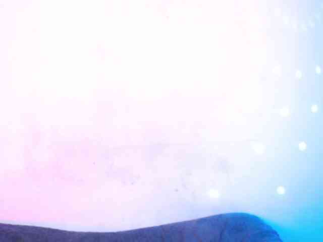 AgathaTenebri webcam