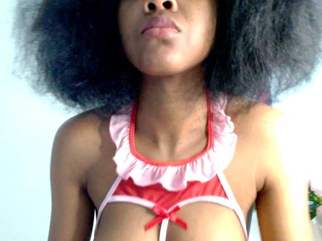 IndiaSelvagem