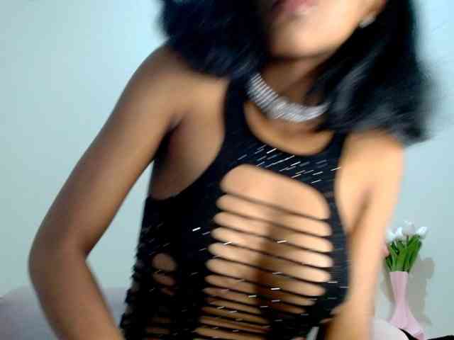 IndiaSelvagem