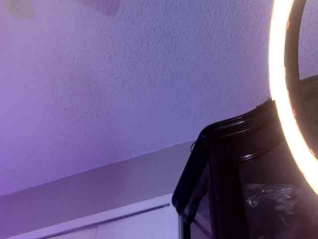 Ivey_strigoi webcam