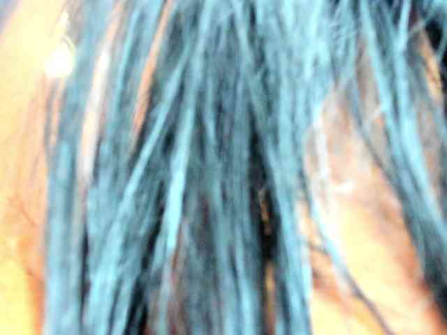 milfebony webcam