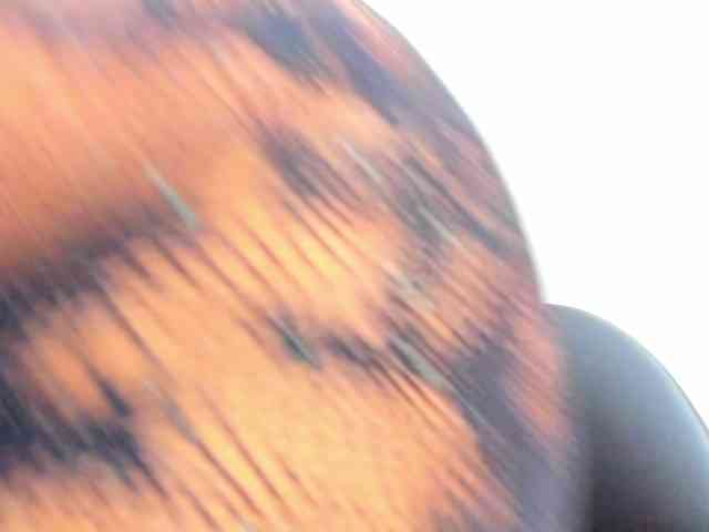milfebony webcam