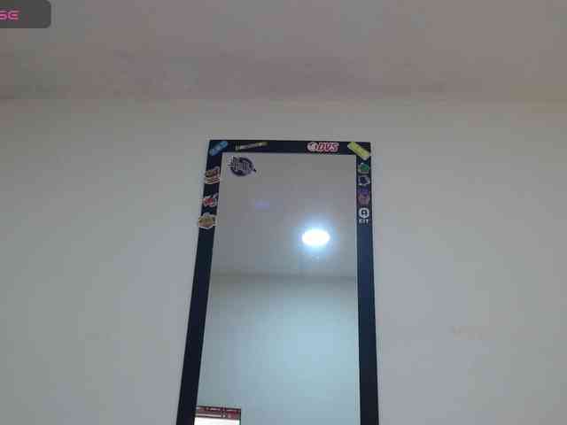 louSapper webcam