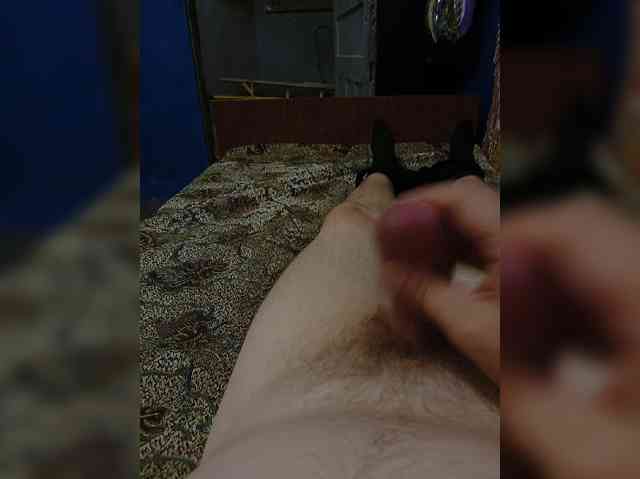 Alecha87a