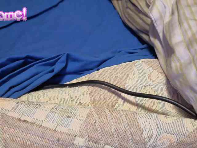 martachatte19 webcam