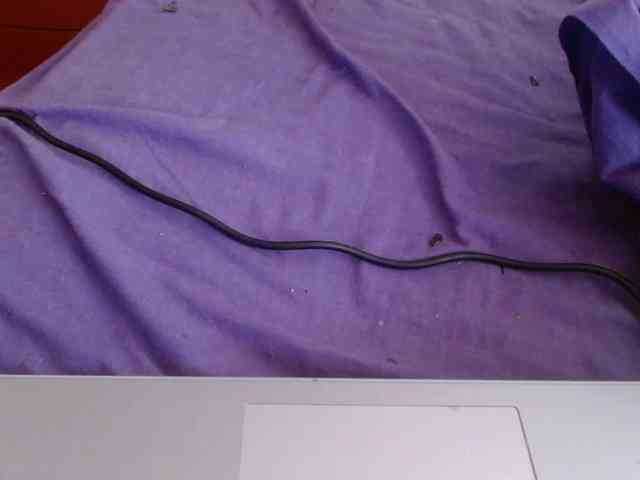 martachatte19 webcam
