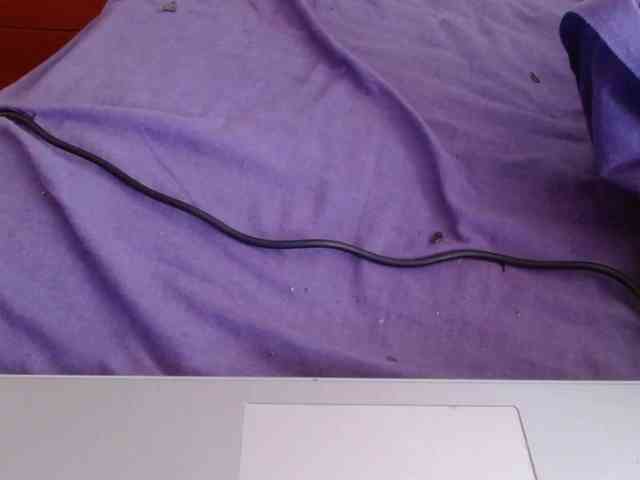 Modella: martachatte19