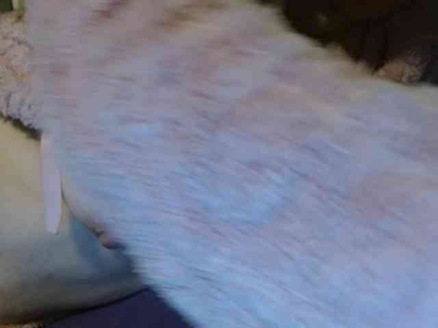 martachatte19 webcam