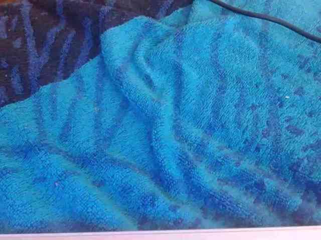 martachatte19 webcam