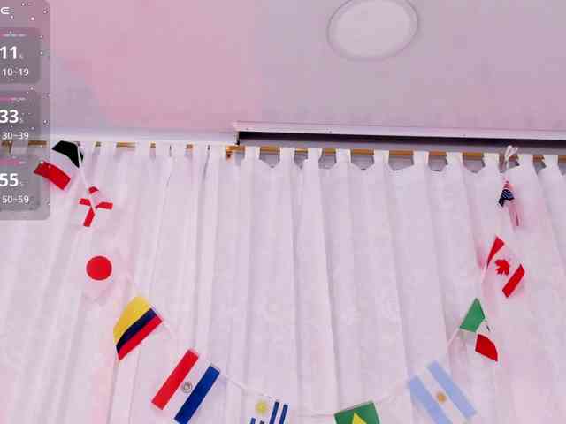 Amira-s webcam