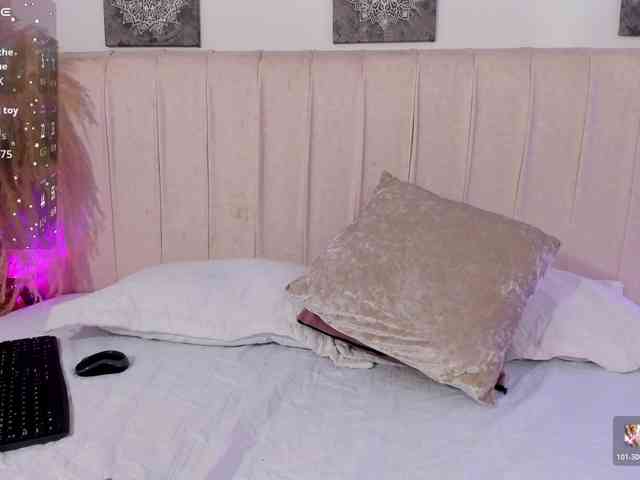 Amira-s webcam