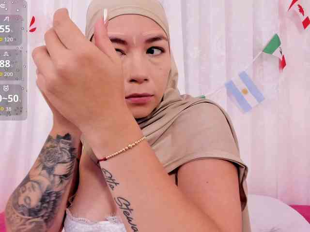 Amira-s