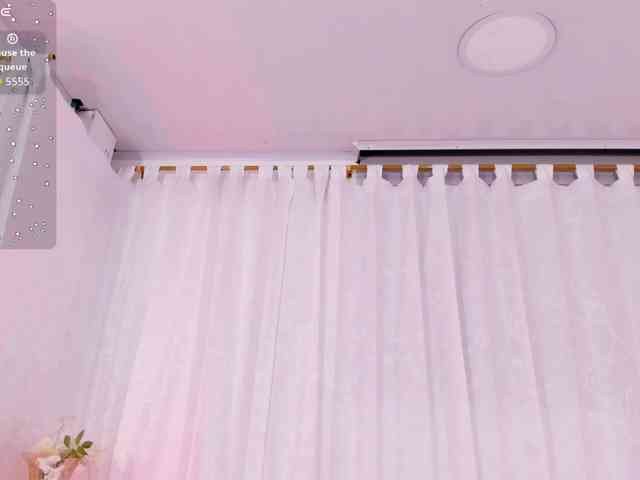 Amira-s webcam