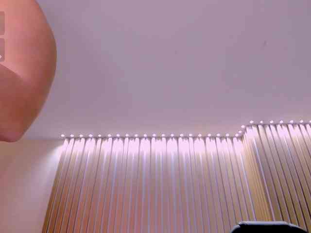 SophiePalmer webcam