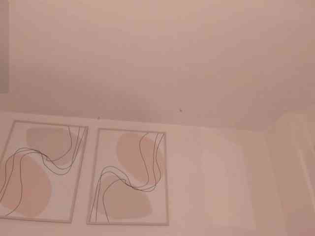 SophiePalmer webcam