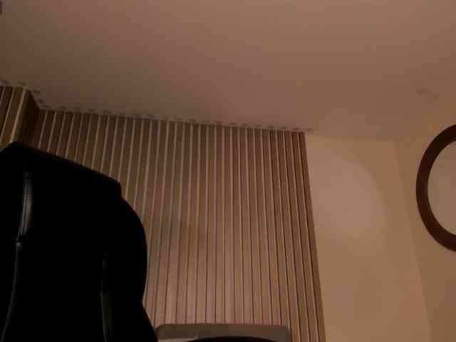 SophiePalmer webcam