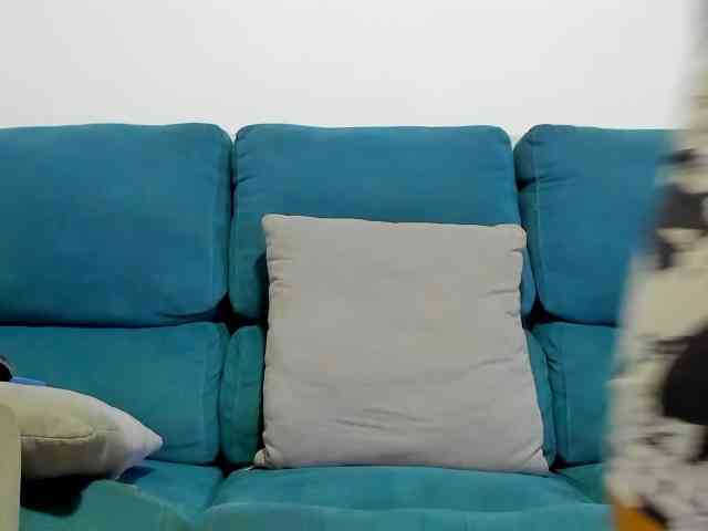 Samhotie webcam