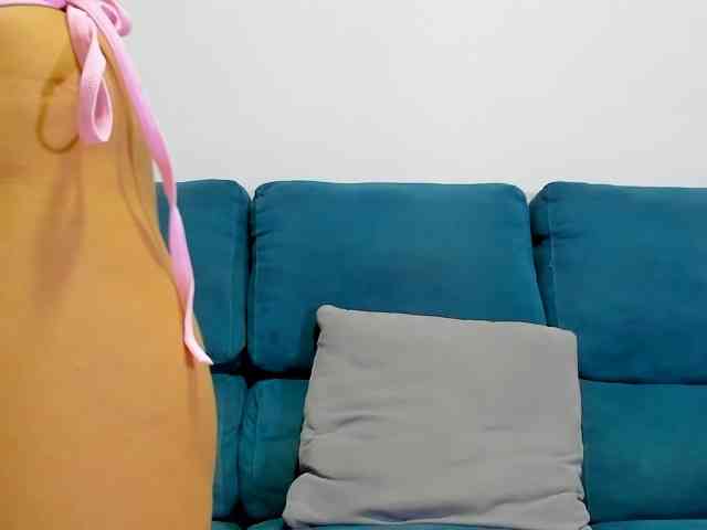 Samhotie webcam