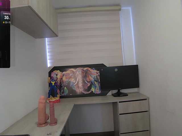 sofirousel