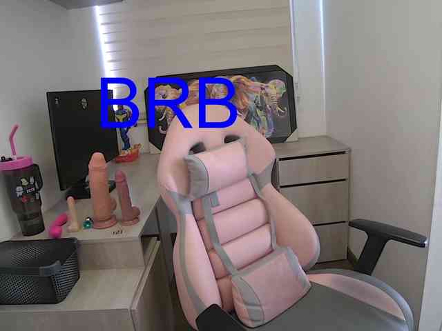 sofirousel webcam