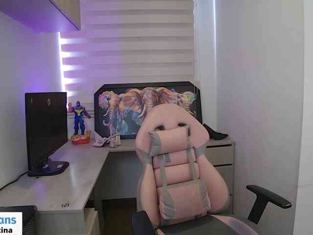 sofirousel webcam