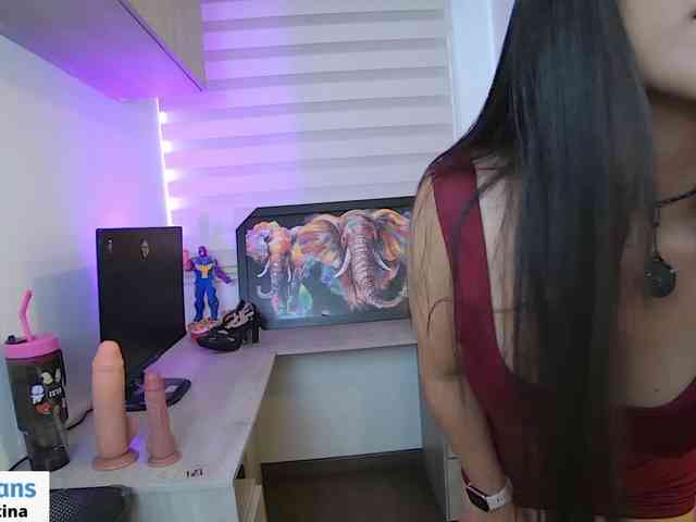 sofirousel webcam