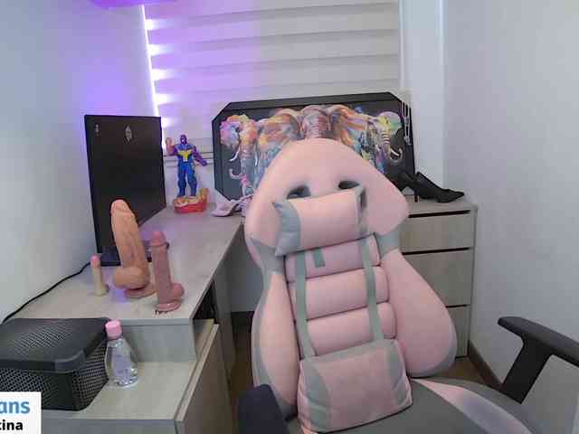 sofirousel webcam