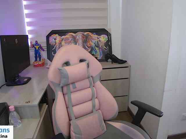 sofirousel webcam