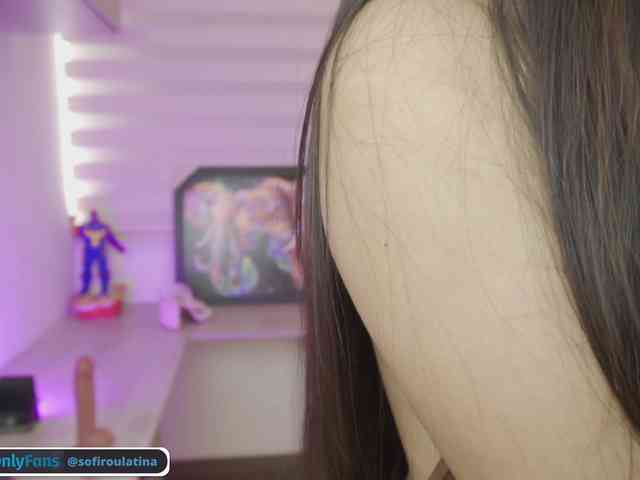 sofirousel webcam