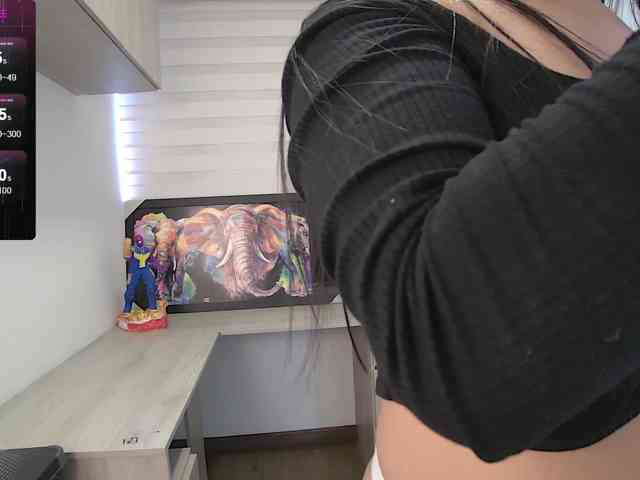sofirousel webcam