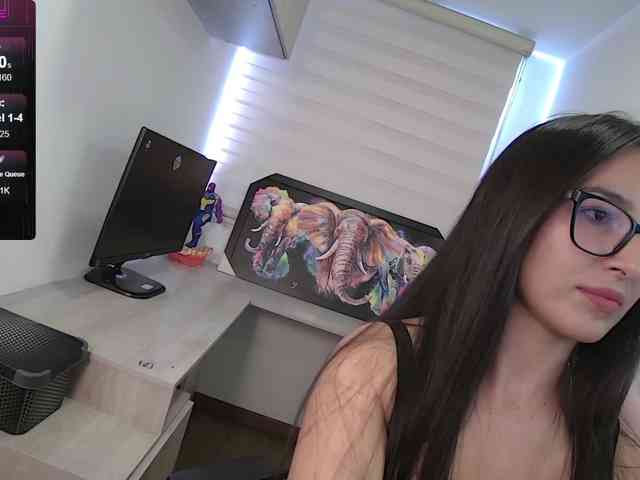 sofirousel webcam