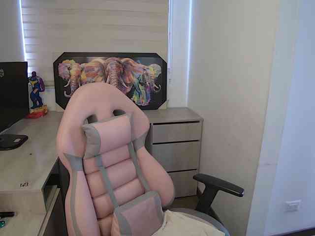 sofirousel webcam
