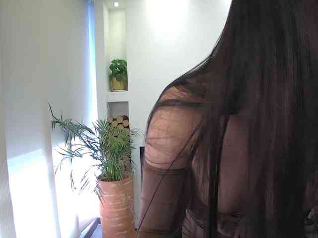 sofirousel webcam