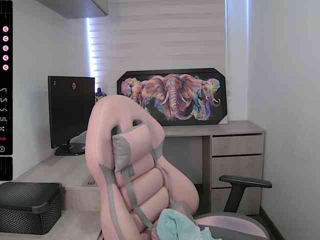 sofirousel webcam