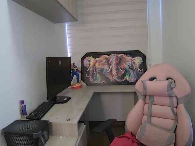 sofirousel