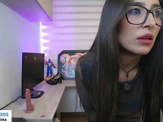 sofirousel webcam