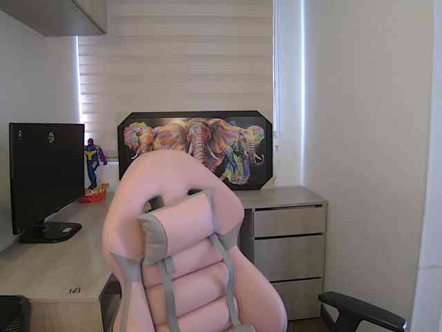 sofirousel webcam