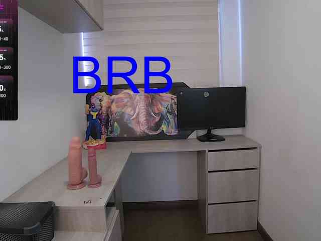 sofirousel webcam
