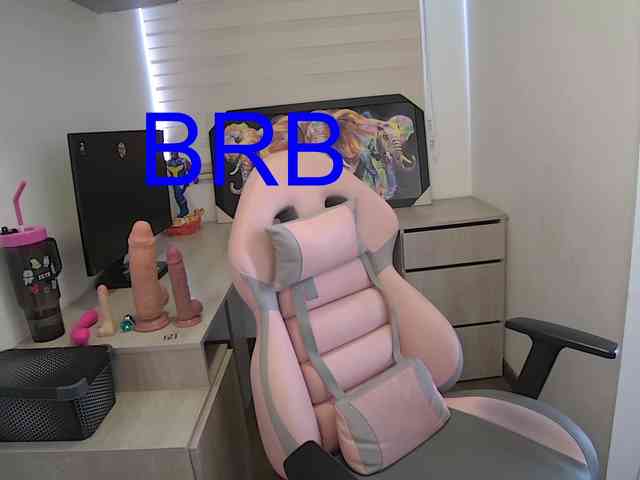 sofirousel webcam